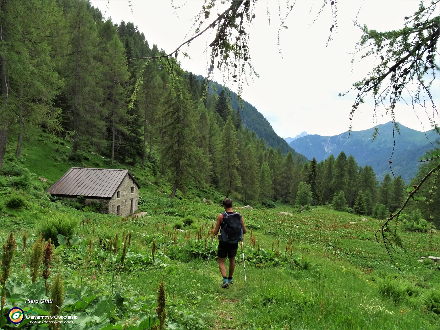 90 Passaggio ai pascoli della Baita 'A bas'.JPG